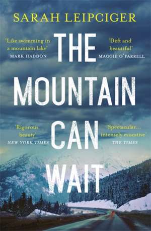 The Mountain Can Wait de Sarah Leipciger