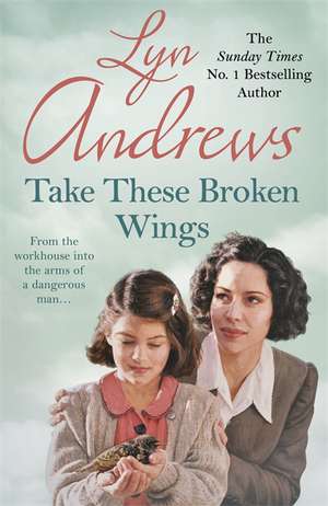 Take these Broken Wings de Lyn Andrews