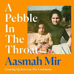 A Pebble In The Throat de Aasmah Mir