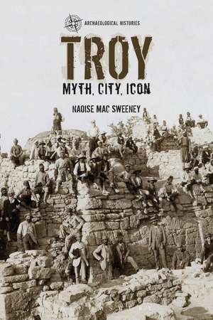 Troy: Myth, City, Icon de Dr Naoise Mac Sweeney