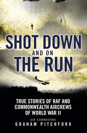 Shot Down and on the Run: True Stories of RAF and Commonwealth Aircrews of WWII de Air Commodore Graham Pitchfork