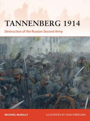 Tannenberg 1914: Destruction of the Russian Second Army de Michael McNally