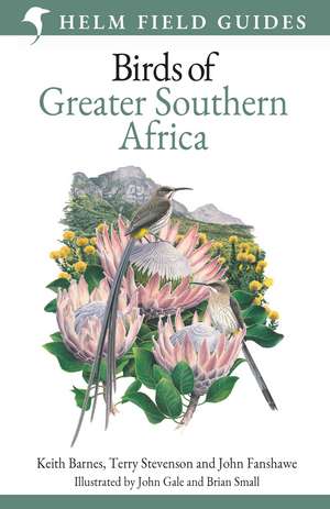 Field Guide to Birds of Greater Southern Africa de Terry Stevenson