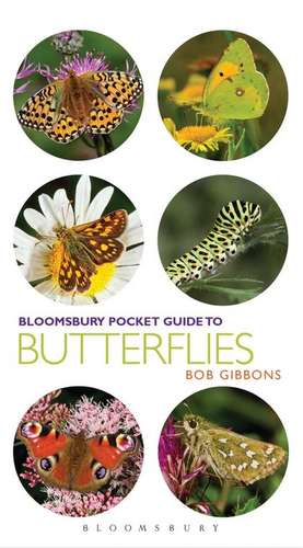 Pocket Guide to Butterflies de Bob Gibbons