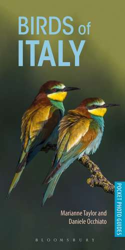 Birds of Italy de Marianne Taylor