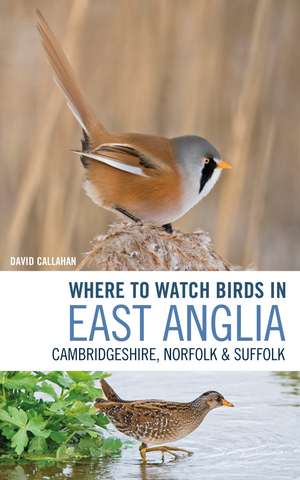 Where to Watch Birds in East Anglia: Cambridgeshire, Norfolk and Suffolk de David Callahan