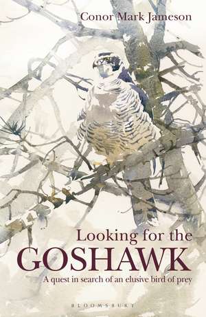 Looking for the Goshawk de Conor Mark Jameson