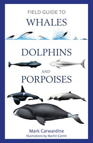 Field Guide to Whales, Dolphins and Porpoises de Mark Carwardine