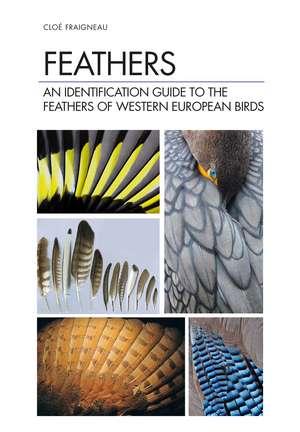 Feathers: An Identification Guide to the Feathers of Western European Birds de Cloé Fraigneau