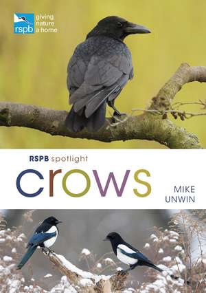 RSPB Spotlight Crows de Mike Unwin