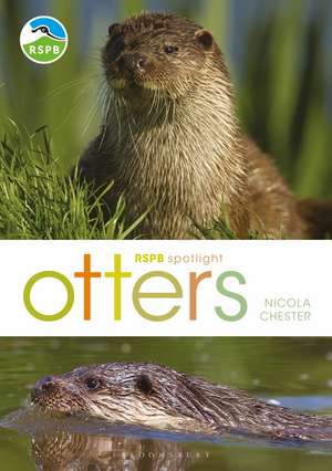 RSPB Spotlight: Otters de Nicola Chester