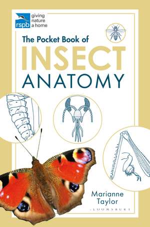 The Pocket Book of Insect Anatomy de Marianne Taylor