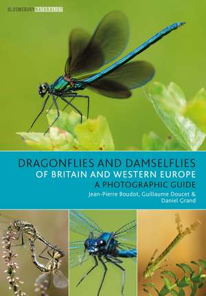 Dragonflies and Damselflies of Britain and Western Europe: A Photographic Guide de Jean-Pierre Boudot