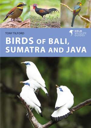 Birds of Bali, Sumatra and Java de Tony Tilford