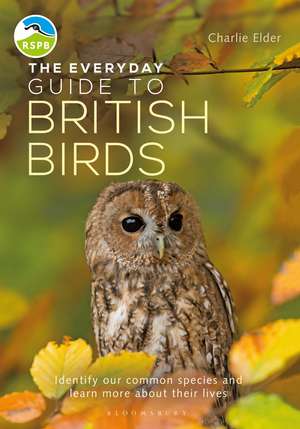 The Everyday Guide to British Birds: Identify our common species and learn more about their lives de Charlie Elder