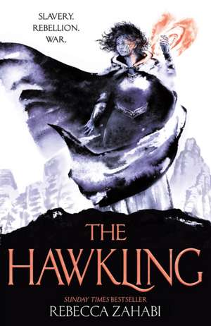 The Hawkling de Rebecca Zahabi