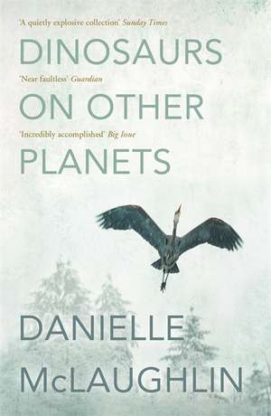 Dinosaurs on Other Planets de Danielle McLaughlin