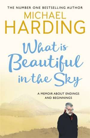 Harding, M: What is Beautiful in the Sky de Michael Harding