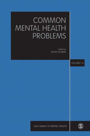 Common Mental Health Problems de David Pilgrim