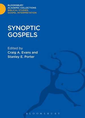 Synoptic Gospels de Stanley E. Porter