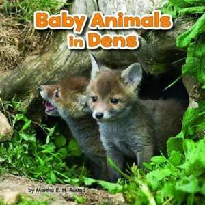 Baby Animals and Their Homes Pack A of 4 de Martha E. H. Rustad