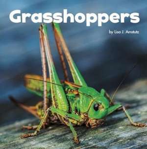 Amstutz, L: Grasshoppers de Lisa J. Amstutz