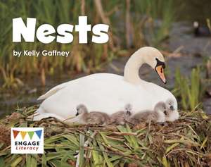 Nests de Kelly Gaffney