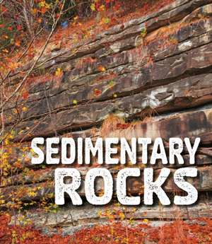 Sedimentary Rocks de Ava Sawyer