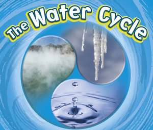 The Water Cycle de Catherine Ipcizade