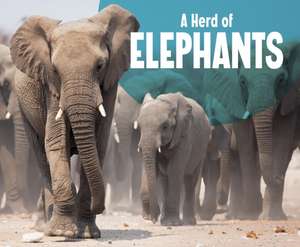 A Herd of Elephants de Amy Kortuem