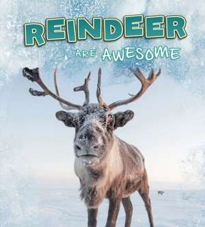 REINDEER ARE AWESOME de JAYCOX JACLYN