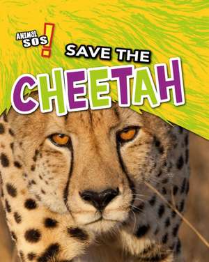 Save the Cheetah de Louise Spilsbury