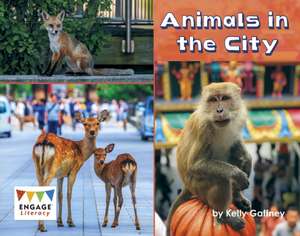 Animals in the City de Kelly Gaffney