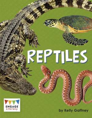 Reptiles de Kelly Gaffney