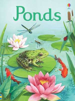 Bone, E: Ponds