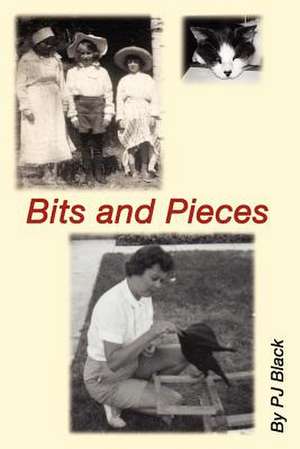 Bits and Pieces de P. J. Black