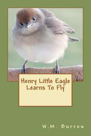 Henry Little Eagle Learns to Fly de W. M. Burrow