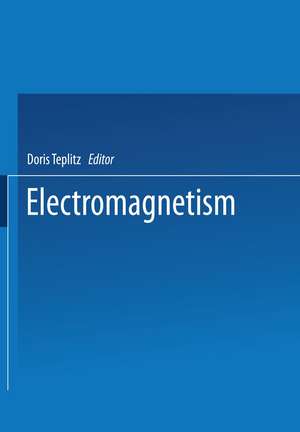 Electromagnetism: Paths to Research de Doris Teplitz