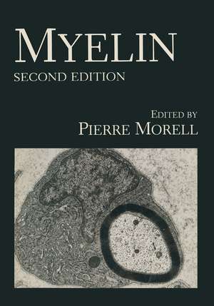 Myelin de P. Morell