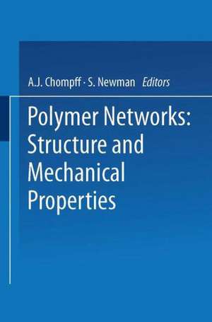 Polymer Networks: Structure and Mechanical Properties de A. Chompff