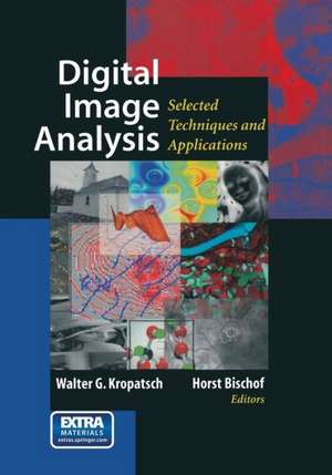 Digital Image Analysis: Selected Techniques and Applications de Walter Kropatsch