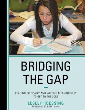 Bridging the Gap de Lesley Roessing