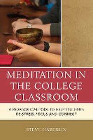 Meditation in the College Classroom de Steve Haberlin