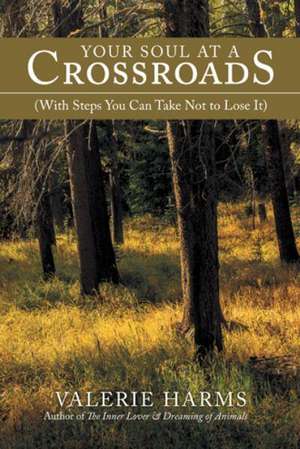 Your Soul at a Crossroads de Valerie Harms