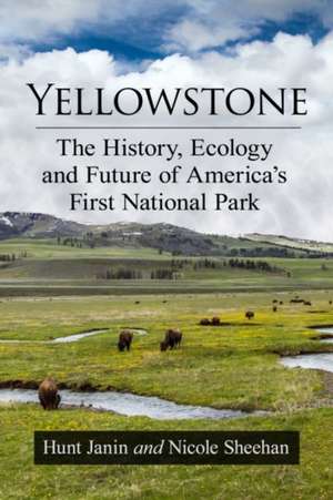 Yellowstone de Hunt Janin