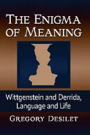 The Enigma of Meaning de Gregory Desilet