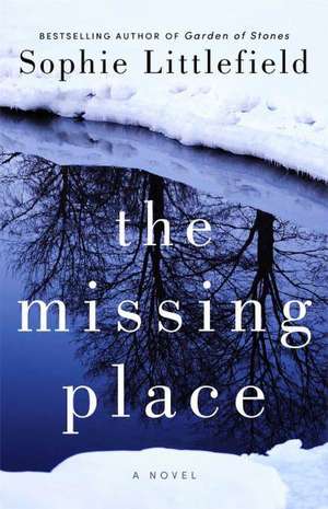 The Missing Place de Sophie Littlefield