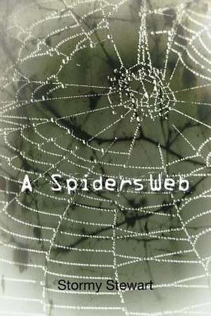 A Spiders Web de Stormy Stewart