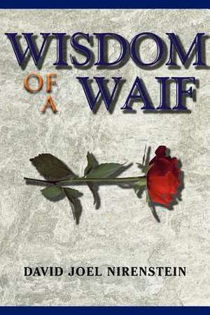 WISDOM OF A WAIF de David Joel Nirenstein