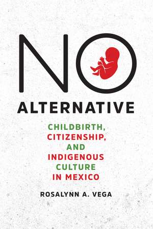 No Alternative: Childbirth, Citizenship, and Indigenous Culture in Mexico de Rosalynn A. Vega